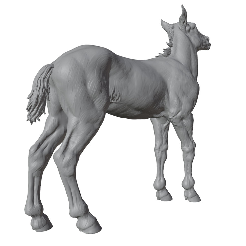 Stampa ad alta risoluzione, st - Model Kit Horse recensione e prezzo