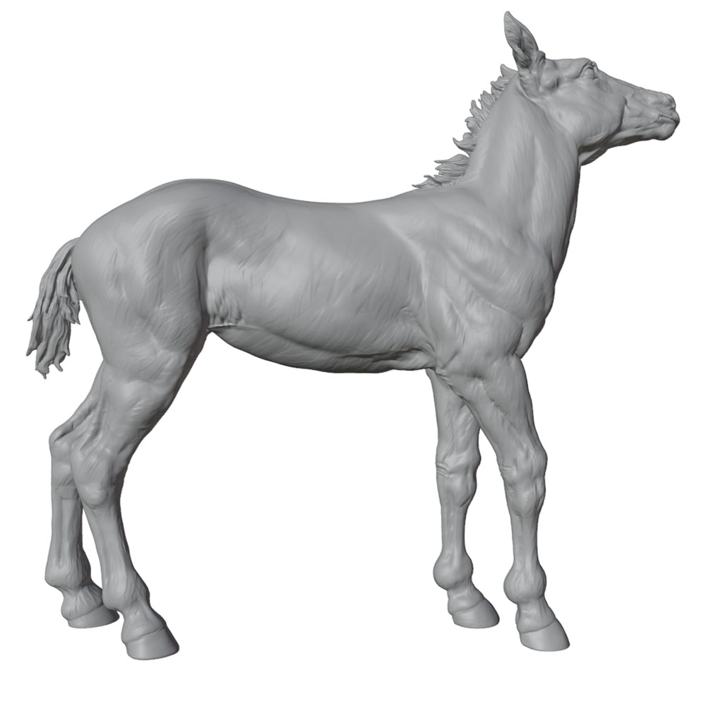Stampa ad alta risoluzione, st - Model Kit Horse recensione e prezzo